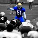 Reggie Carter Photo 15