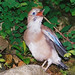 Jay Young Photo 18