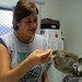 Alison Murray Photo 15