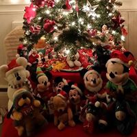 Susan Whalen Photo 15