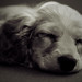 Cutie Arnold Photo 4