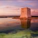 Santa Torres Photo 8
