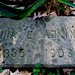 Anna Adkins Photo 18