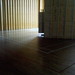 Joanna Dudley Photo 16