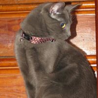 Ruby Mcallister Photo 5