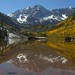 Autumn Bell Photo 35