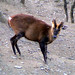 Satish Gupta Photo 36