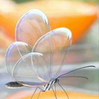 Janet Gunter Photo 18