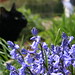Sammie Flowers Photo 9