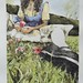 Andrea Dominguez Photo 20
