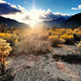 Joshua Kerns Photo 13