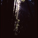 Deborah Muir Photo 17