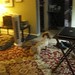 Frank Link Photo 23