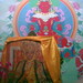 Susan Wisely Photo 12