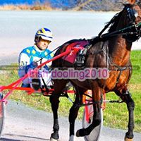 Ed Melvin Photo 11
