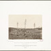 Mary Partridge Photo 22