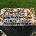 Richard Sumner Photo 19