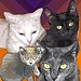Sheila Estes Photo 23