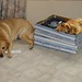 Sandy Tucker Photo 22