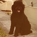 Gloria Warren Photo 13