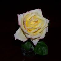 Jackie Dodson Photo 30