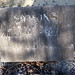 Thomas Symons Photo 7