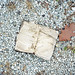 Jessica Inglis Photo 16