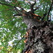 Cory Lake Photo 12