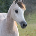 Nancy Richter Photo 36