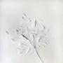 Marc Cartwright Photo 13