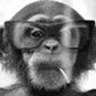 Richard Bemis Photo 8