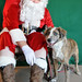 Rhonda Williams Photo 9