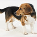 Sherry Barney Photo 23