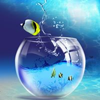 Sudha Patel Photo 17