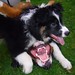 Patsy Shepherd Photo 11