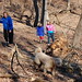 Bobbie Stephens Photo 36