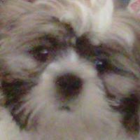 Donna Mercer Photo 35
