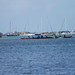 June Clements Photo 8