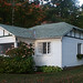 Carol Miles Photo 37
