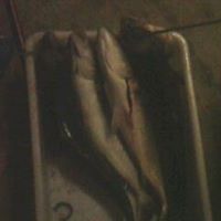 James Lashley Photo 32