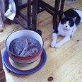 Mary Brotherton Photo 22