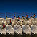 Chris Mckeever Photo 24