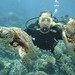 Brian Slaughter Photo 16