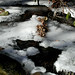 William Rothrock Photo 20