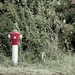 Mark Silber Photo 13