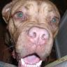 Sandra Waldron Photo 29