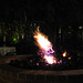 Rhonda Holt Photo 35