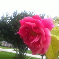 Colleen Murray Photo 24