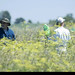 Doug Logsdon Photo 13