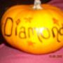 Sandra Tabor Photo 10